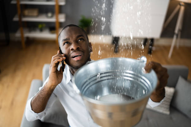 Best Mold removal after water damage  in Jackson Center, OH