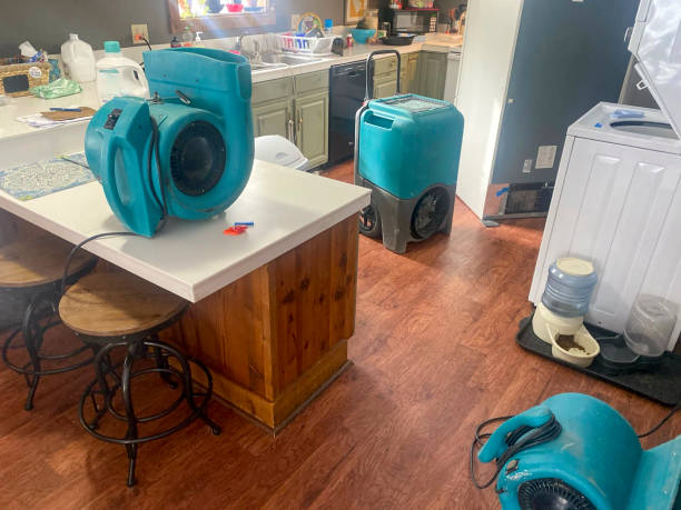 Best Commercial water damage restoration  in Jackson Center, OH