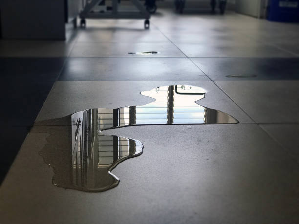 Best Local water damage restoration  in Jackson Center, OH