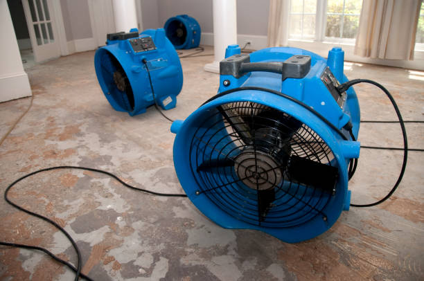 Best Water damage restoration cost  in Jackson Center, OH