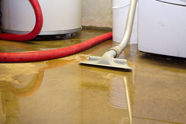 Best Carpet water damage restoration  in Jackson Center, OH