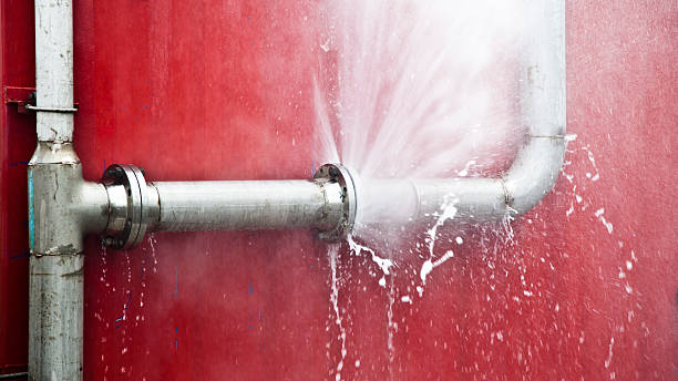 Best 24-hour water damage restoration  in Jackson Center, OH
